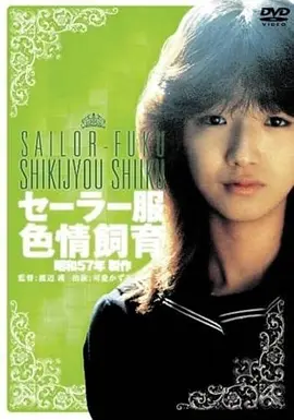 雾港谜踪免费在线观看完整版